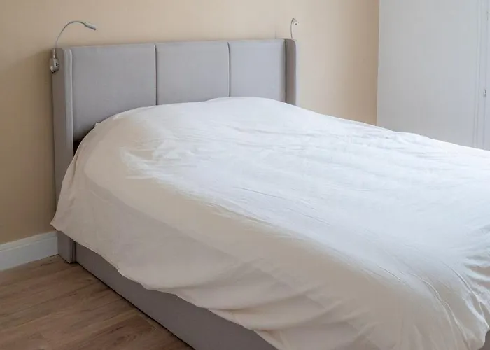 New & Elegant - Musiciens *