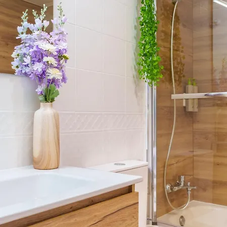 New & Elegant - Musiciens